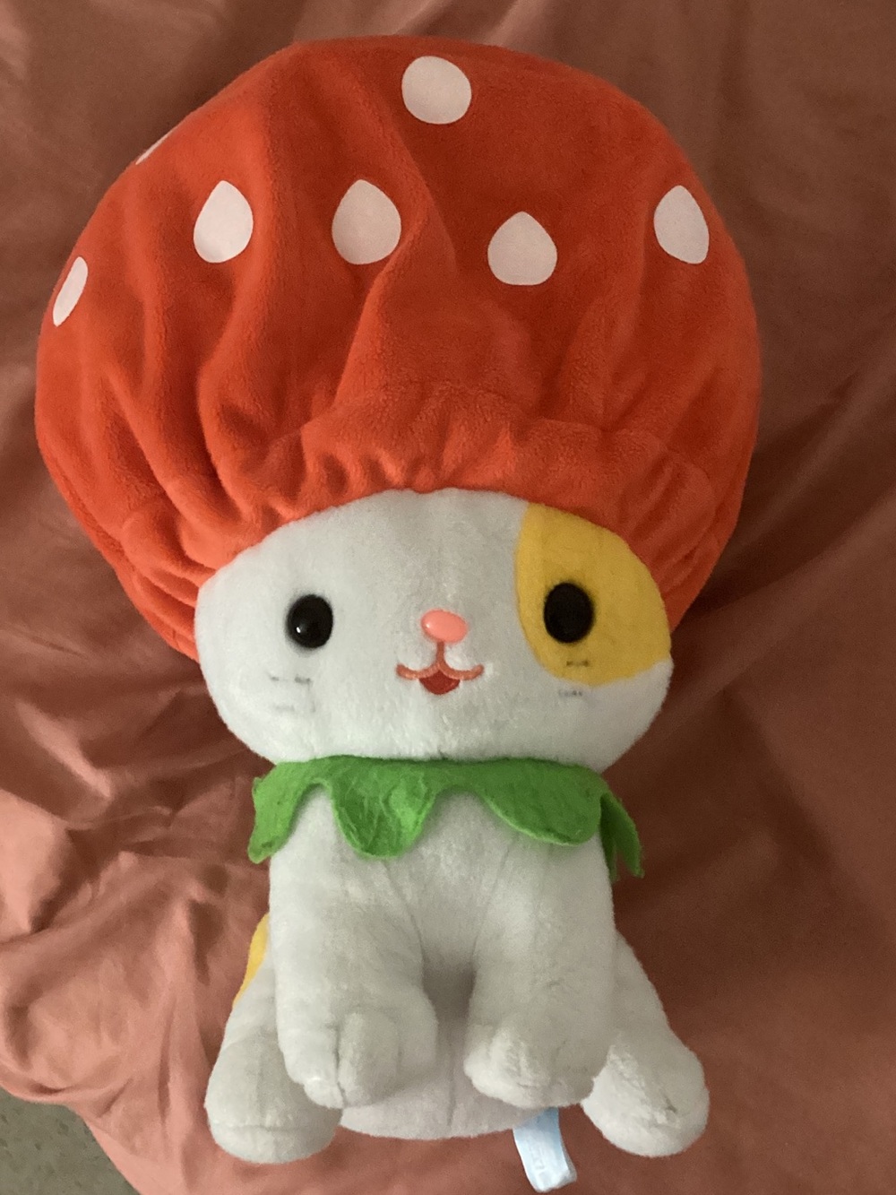 Amuse Neko Kkaburi Plush Cat wearing Strawberry Hat (Rare, Hard to find)